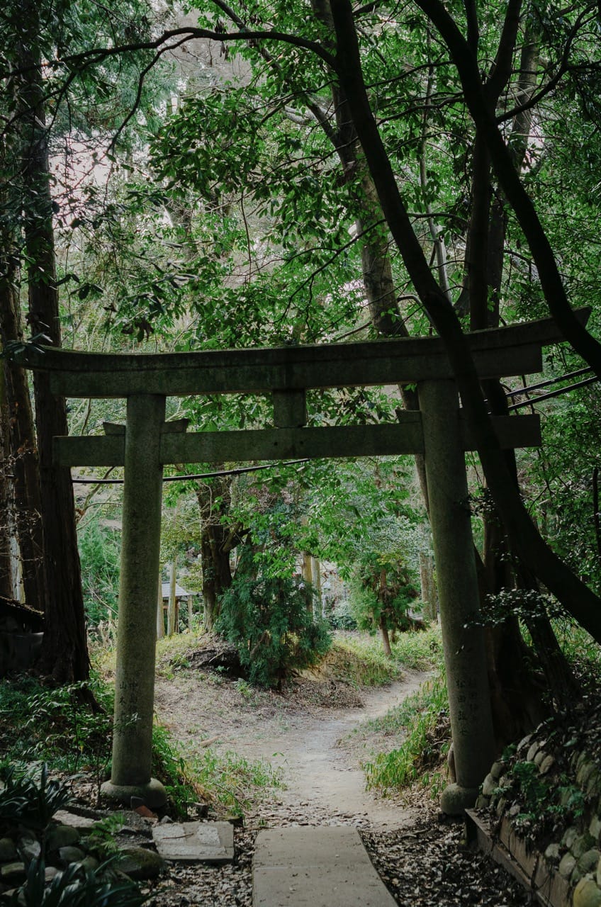 Превью Kyoto 2024